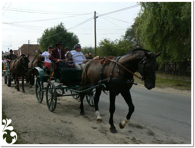 Szuret Felv es Bal_143